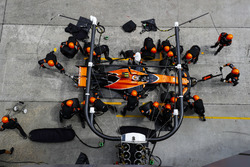 Stoffel Vandoorne, McLaren MCL32
