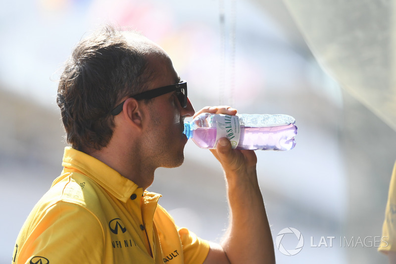 Robert Kubica, Renault Sport F1 Team