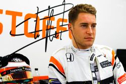 Stoffel Vandoorne, McLaren