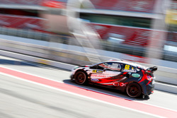 Niclas Grönholm, Olsbergs MSE, Ford Fiesta