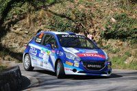 Peugeot 208 Competition 2019