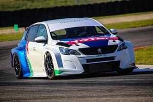 Massimo Arduini, Peugeot 308 TCR, Arduini Corse