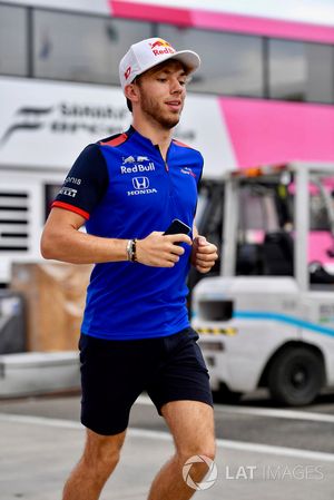 Pierre Gasly, Scuderia Toro Rosso