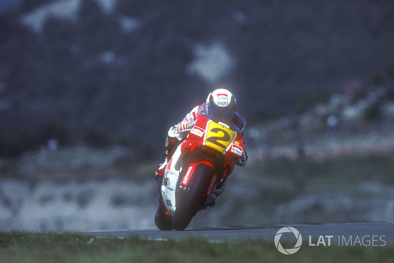 Wayne Rainey