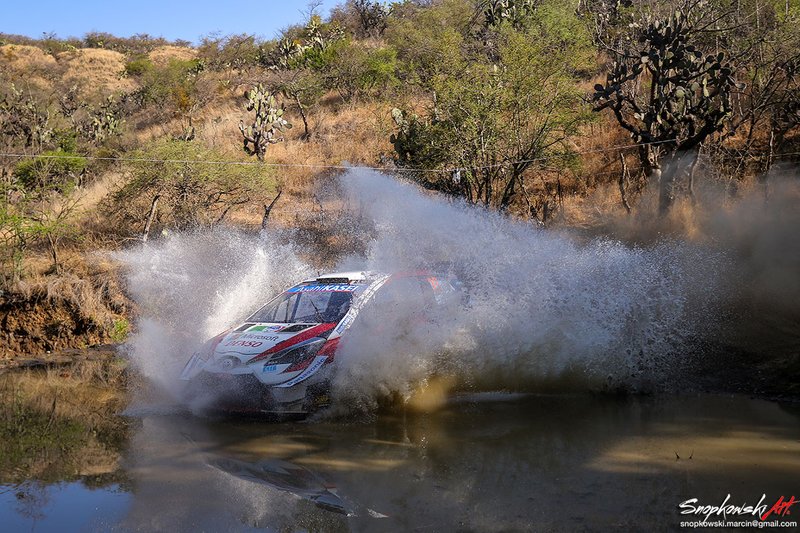 Rally Mexico 2020