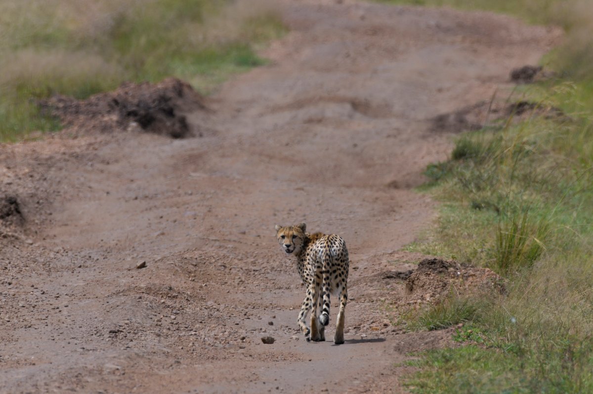 Atmosphere in Kenya