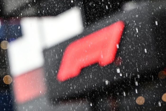 Rain falls in the Paddock