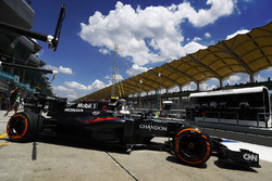 Jenson Button, McLaren MP4-31