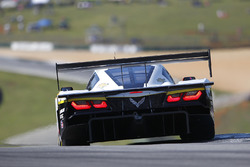 #5 Action Express Racing Corvette DP: Joao Barbosa, Christian Fittipaldi, Filipe Albuquerque