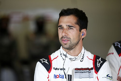 Neel Jani, Porsche Team
