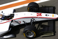 Matthew Parry, Koiranen GP