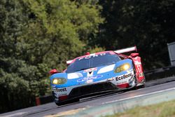 #67 Ford Performance Chip Ganassi Racing Ford GT: Ryan Briscoe, Richard Westbrook