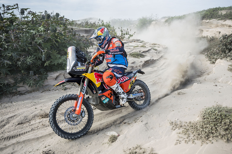 #19 Red Bull KTM Factory Racing KTM: Antoine Meo
