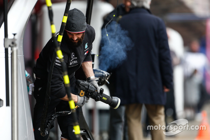 Toro Rosso Team member