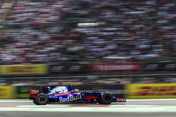 Pierre Gasly, Scuderia Toro Rosso STR12