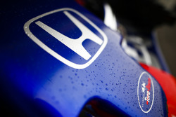 Honda-logo op de neus van de Toro Rosso STR13