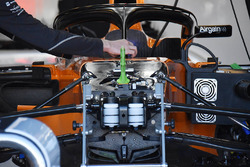 Vue détaillée de la McLaren MCL33