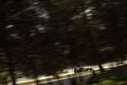 Felipe Nasr, Sauber C35