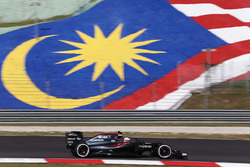 Jenson Button, McLaren MP4-31