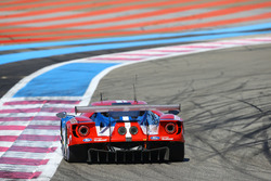 #67 Ford Chip Ganassi Racing Team UK Ford GT: Marino Franchitti, Andy Priaulx, Harry Tincknell