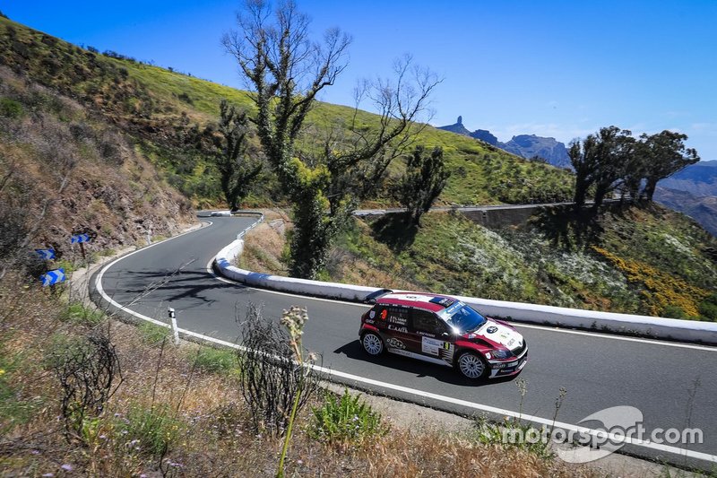 Pierre-Louis Loubet, Vincent Landais, skoda Fabia R5, FIA ERC, Rally Islas Canarias