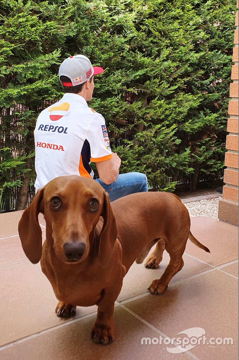 Entrevista a Marc Márquez, Repsol Honda Team, en 2020