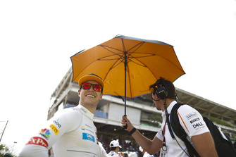 Stoffel Vandoorne, McLaren, on the grid