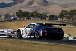 #43 RealTime Racing Acura NSX GT3: Ryan Eversley