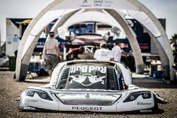 #304 Peugeot Sport Peugeot 3008 DKR: Carlos Sainz, Lucas Cruz