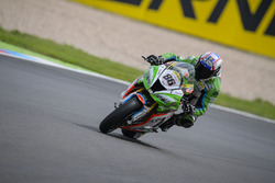 Ayrton Badovini, Grillini