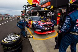 Jamie Whincup , Paul Dumbrell, Triple Eight Race Engineering, Holden