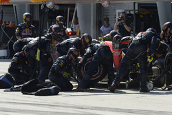 Max Verstappen, Red Bull Racing RB12 aux stands