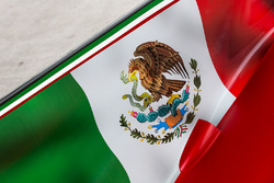 Mexican flag detail