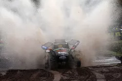 Tom Coronel