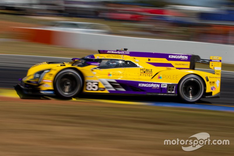 #85 JDC-Miller Motorsports Cadillac DPi: Misha Goikhberg, Tristan Vautier, Juan Piedrahita
