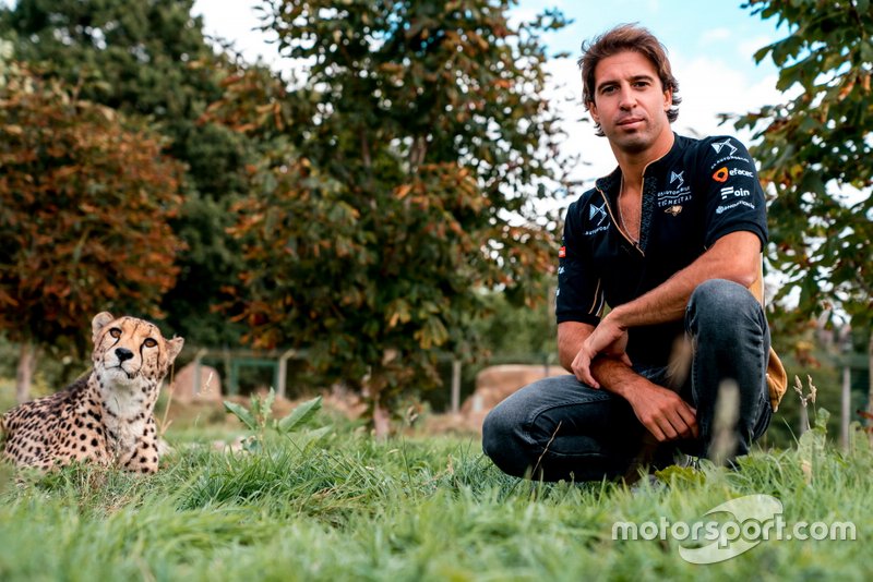 Antonio Felix da Costa, DS Techeetah