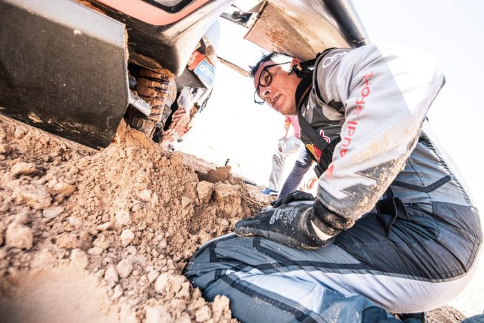 #207 Team Audi Sport Audi: Carlos Sainz, Lucas Cruz