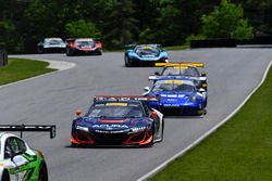 #93 RealTime Racing Acura NSX GT3: Peter Kox, Mark Wilkins