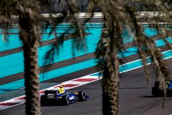 Nicholas Latifi, DAMS