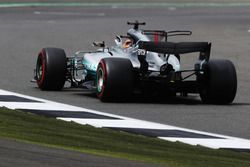 Lewis Hamilton, Mercedes AMG F1 W08 y fans