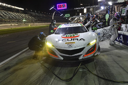 #93 Michael Shank Racing Acura NSX: Andy Lally, Katherine Legge, Mark Wilkins, Graham Rahal