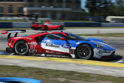 #67 Ford Performance Chip Ganassi Racing Ford GT: Ryan Briscoe, Richard Westbrook, Scott Dixon