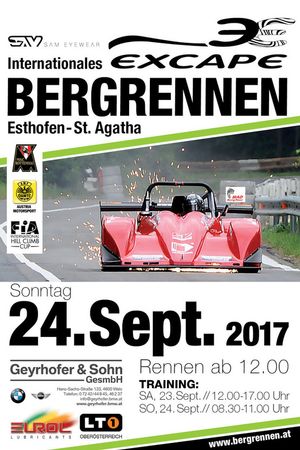 Esthofen-Sankt Agatha, Affiche 2017