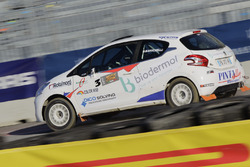 Dario Baruchelli, Peugeot 208 R2B