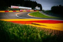 Eau Rouge corner detail