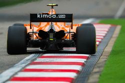 Stoffel Vandoorne, McLaren MCL33 Renault