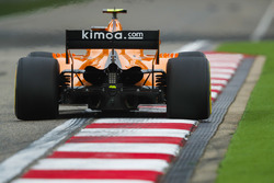 Stoffel Vandoorne, McLaren MCL33 Renault