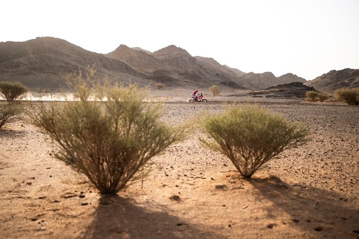 #66 Kove Factory Racing Kove: Neels Theric