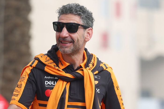 Andrea Stella, McLaren