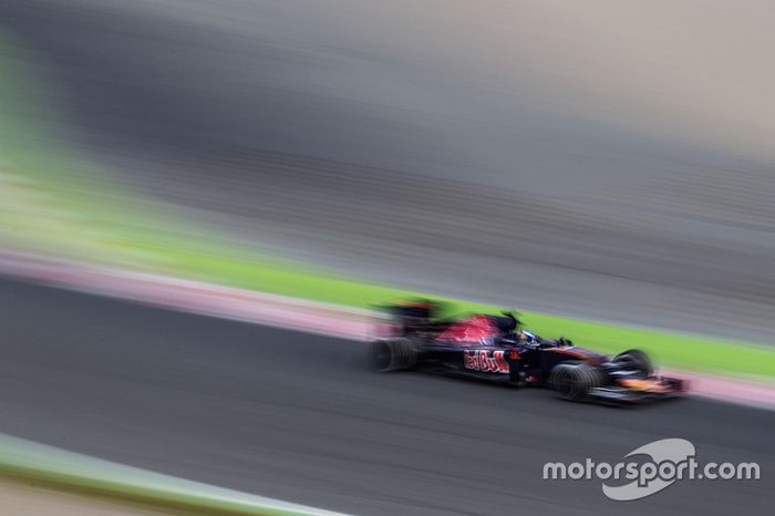 Max Verstappen, Scuderia Toro Rosso STR11